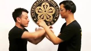 Integrative Wing Chun