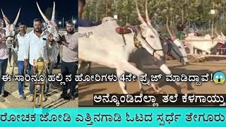 Tegur bullock cart race |ತೇಗೂರು ಜೋಡಿ ಎತ್ತಿನಗಾಡಿ ಓಟದ ಸ್ಪರ್ಧೆ | Hassan hallikar studio |Ettinagadi CKM