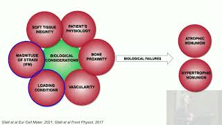 2 Biomechanics of Bone Healing: How to Optimize your Construct in OR to Avoid Complications