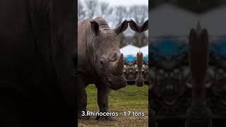 The world's heaviest animals #shorts #shortvideo #subscribe #animals #animalsfacts