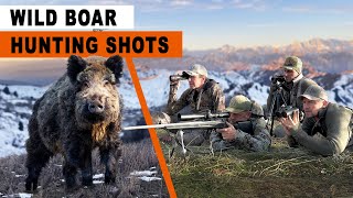 Giant wild boar hunt in Tajikistan with @fbtfineballistictools6165​ 2024