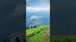 "Mystical Tolipeer Mountains Time-Lapse: Clouds, Rain, and Fog" #kashmir #tolipeer #naturebeauty