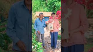 Beautiful Girl Making Food | Asian Food At Plantation #21