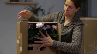 Postal Delivery Box Plants | Broekhof