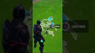 New Klomberries in Fortnite!