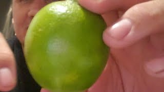 Can You Eat A Whole Lime It's Not That Easy