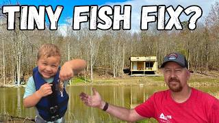 Will This Fix Our Pond??? - Moultrie Directional Fish Feeder