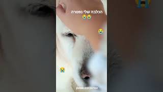 אוףףףףףףףףף