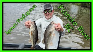 Bass Fishing On Roanoke River NC | Post Spawn Tournament