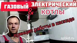 Котельная на базе газового и электрического котлов работающих в каскаде. Vaillant+Protherm