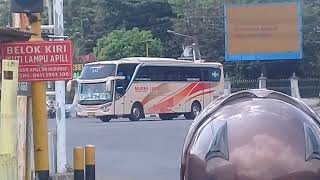 Dua Bus Murni Jaya Keluar Dari Terminal Giwangan. E53 dan APE156. 4 Hari Setelah Larangan Mudik