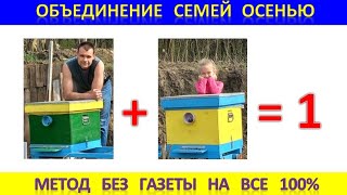 Объединение семей осенью. Метод на все 100%.