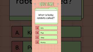 What Is Baby Rabits Called? #quiz #trivia #rabbit