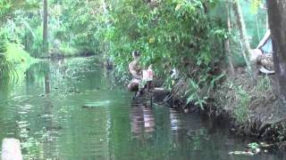 Trip around the Kerala backwaters - never felt so awkward with a video camera