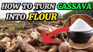 Cassava Flour Production in Nigeria: Ibadan Tutorial & Agriculture Guide