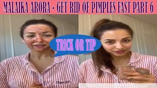 How to get rid of Pimples fast - Malaika Arora Trick Or Tip, Part - 6  #malaikaaroratrickortip