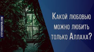 Какой любовью можно любить только Аллаха?