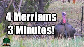 4 Birds in ONE DAY | Merriam’s Spring Turkey Hunt (With Bloopers)