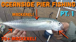 OCEANSIDE PIER MACKEREL FISHING! Over 70+ Mackerel Caught! Late Night MACKEREL PIER Fishing!