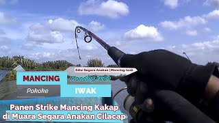 Mancing Ikan Kakap di Sungai Muara Segara Anakan Cilacap Mancing Iwak Panen Strike