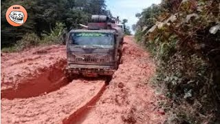 You've never seen such off road before! Forwarders and harvesters off road!