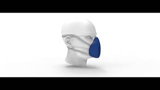 Reusable Mask