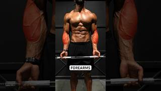 FOREARMS finisher 💪🏽 Throw these exercises onto your next arm workout. #shorts