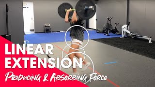 Producing and Absorbing Force 101: Linear Extension