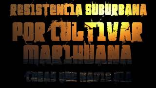 Por Cultivar Marihuana - Resistencia Suburbana (Cosas Que Nadie Oía)