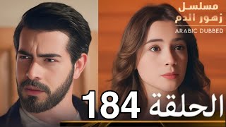 مسلسل زهور الدم الحلقة 184