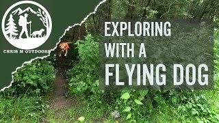 Exploring medieval woodland with my dog | Fungus and a British MRE