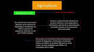 Deterioro ambiental