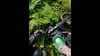 НЕ заметил бревно😨 #дваколеса #motorcyclelife #biker #nature #adventure #scrambler #yamaha #triumph