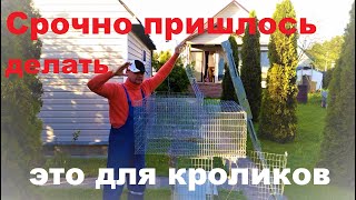 СРОЧНО ПРИШЛОСЬ ДЕЛАТЬ - ЭТО ДЛЯ КРОЛИКОВ калифорнийские кролики