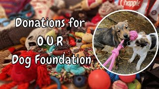 Donations Haul! *Volunteering for a Romanian Dog Rescue*