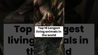 Top 10 longest living animals in the world | Top 10 | #shorts