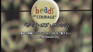 Beads of Courage Program