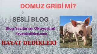 Domuz Gribi🐷Olduk Ailece!Belirtileri,Tedavisi,Normal Grip ile Farkı Nedir?Yaşadıklarımız!😰En Zoru