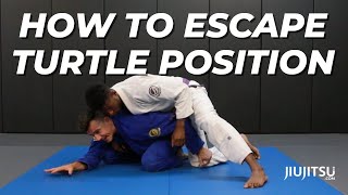 How To Escape From Turtle Position