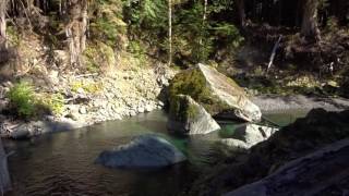 Staircase Rapids Trail