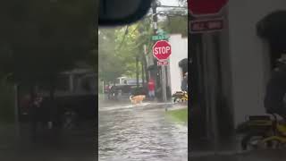 🐶🐕 Man seen pulling surfing dog through flooded streets Florida, USA