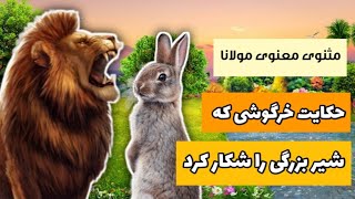 حکایت جالب خرگوشی که شیر بزرگی را شکار کرد | داستان پنجم مثنوی معنوی مولانا