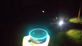 Voice control of car lights (DRL) by Amazon Echo Alexa