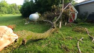 June 2024 Storm Damage After "Wind Event" In Cedarburg