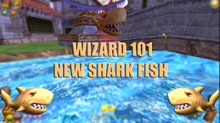 Wizard101 : NEW BALANCE SHARK