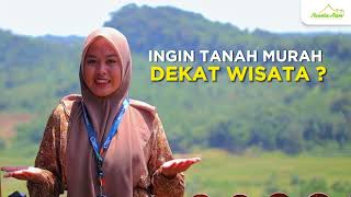 Jual Tanah Bogor - Jawa Barat - Nuansa Alam Agroeduwisata