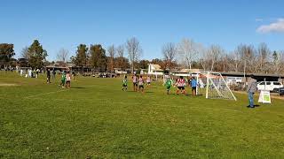 Lemar scored a header at Kanga Cup 2019