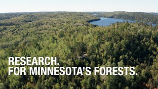 Research. For Minnesota's Forests.