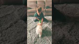 Dog going nuts￼