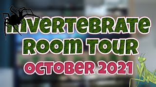 Invert/Bug Room Tour!